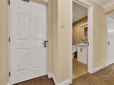 Picture 9